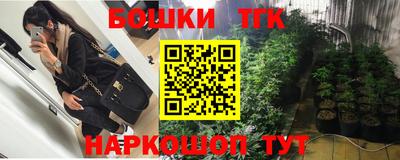 гашик Гусь-Хрустальный