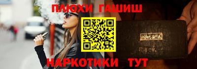 стаф Дубна