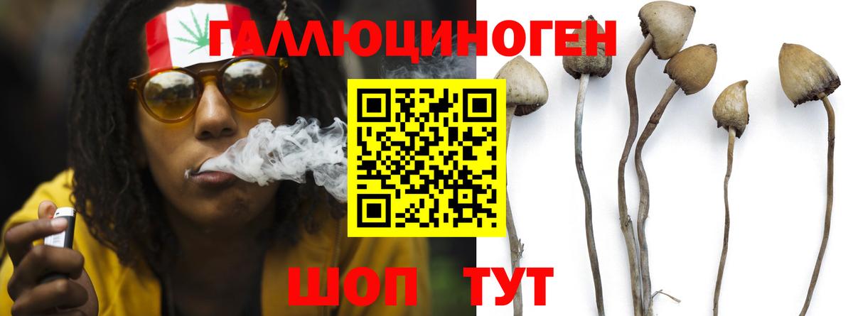 Барабинск  Псилоцибиновые грибы мицелий  купить закладку  Вход с VPN  Псилоцибиновые грибы Cubensis 